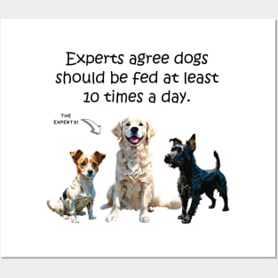 Experts agree dogs should be fed at least 10 times a day - funny watercolour dog design Posters and Art
